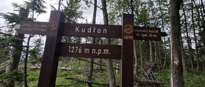 Kudłoń