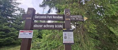 Hala Turbacz ↔ Przełęcz Borek