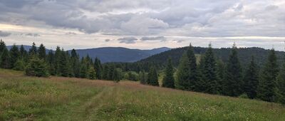 Polana Podskały ↔ Gorc Troszacki