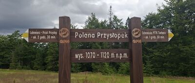 Przełęcz Borek ↔ Pustak