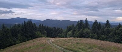 Rzeki, Cyrkowe ↔ Polana Podskały