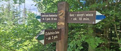 Skrzyżowanie pod Gorcem