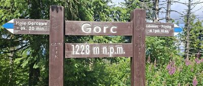 Gorc