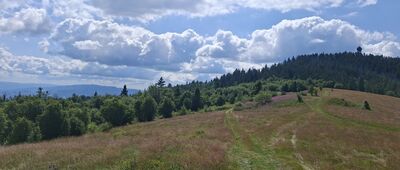 Granica Gorczańskiego Parku Narodowego ↔ Gorc Kamienicki