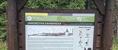 Polana Jaworzyna Kamienicka