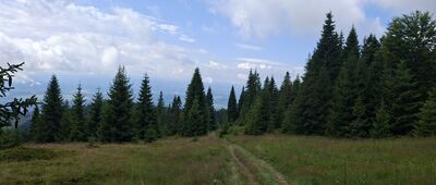 Kiczora ↔ Rąbaniska