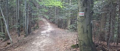 Pod Stusem ↔ Bukowina Harklowska