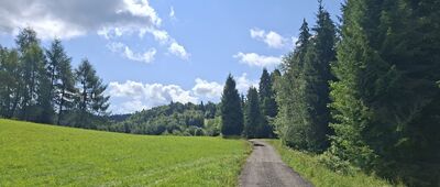 Bukowina Harklowska ↔ Przełęcz Knurowska