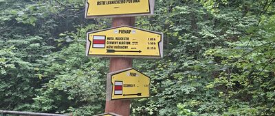 Ujście Leśnickiego Potoku