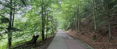 Przeprawa pod Sokolicą ↔ Szczawnica, Pawilon Wystawowy Pienińskiego Parku Narodowego