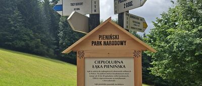 Przełęcz Szopka