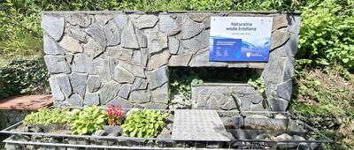 Piwniczna-Zdrój, ul. Daszyńskiego ↔ Piwniczna-Zdrój, skrzyżowanie