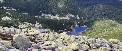 Śnieżne Kotły ↔ Obniżenie pod Śmielcem [Śnieżne Stawki, spod Śnieżnych Kotłów]