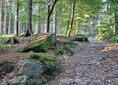 Jagniątków, Droga pod Reglami ↔ Trzecia Droga [Niebieski szlak nad Jagniątkowem]