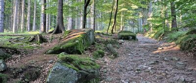 Jagniątków, Droga pod Reglami ↔ Trzecia Droga [Niebieski szlak nad Jagniątkowem]
