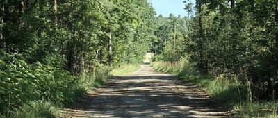 Zagórze, rozejście szlaków ↔ Nowe Drezdenko