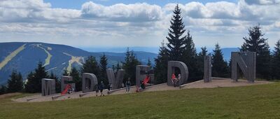 Medvědín