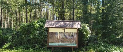 Zienki, granica parku narodowego