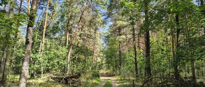 Stary Orzechów ↔ Jezioro Białka