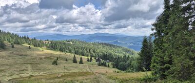 Przełęcz Halna ↔ Rycerzowa Wielka