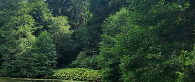 Jakubowo ↔ Leśny Park Linowy