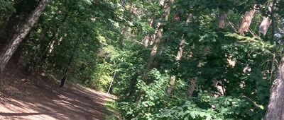 Rozejście szlaków ↔ Zatoka Grunwaldzka