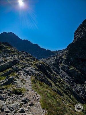 Niebieski szlak w kierunku Zmarzłego Stawu. W tle widoczny Polski Grzebień i Mała Wysoka.