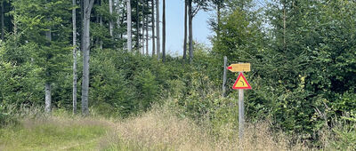 Pod Halą Śmietanową ↔ Zawoja, Centrum