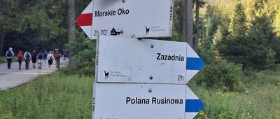 Palenica Białczańska