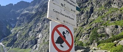 Czarny Staw Pod Rysami