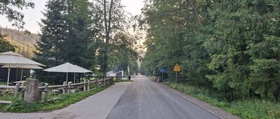 Palenica Białczańska