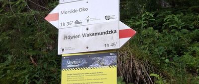 Wodogrzmoty Mickiewicza