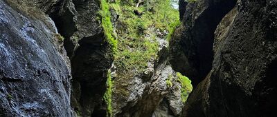 Ostrvné