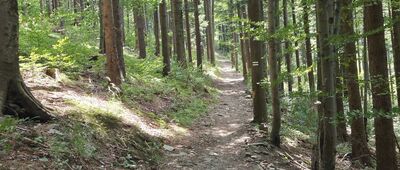 Sopotnia Wielka, Mrozków ↔ Przełęcz Buczynka