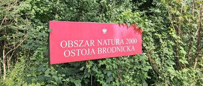 Tama Brodzka