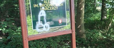 Brodnica, ul. Świerkowa ↔ Brodnica, dworzec kolejowy