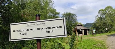 Zawój