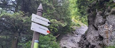 Dolina Kościeliska, szlak do Mylnej Jaskini