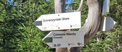 Rozejście szlaków