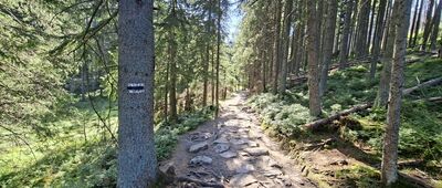Rozejście szlaków ↔ Smreczyński Staw