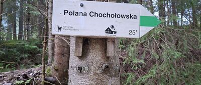 Polana Trzydniówka