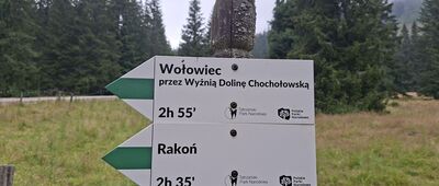 Polana Chochołowska, odejście szlaku zielonego
