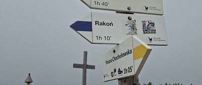 Grześ