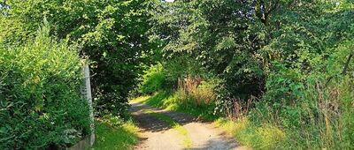 Lubiechów, las ↔ Lubiechów, ul. Wilcza