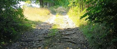Lubiechów, ul. Wilcza ↔ Świebodzice, ul. Kolejowa