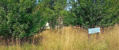 Lubiechów, ul. Wilcza