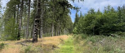 Przełęcz Kowarska ↔ Odejście ścieżki na Rudnik