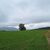 Glisne