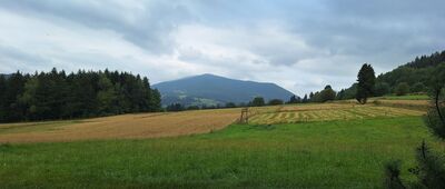Lubień ↔ Rozejście szlaków [Pod Szczeblem, widok na Lubogoszcz]