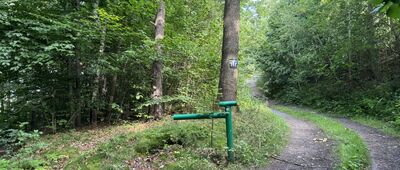Rozejście przy grodzisku ↔ Płoszczyna, przystanek autobusowy